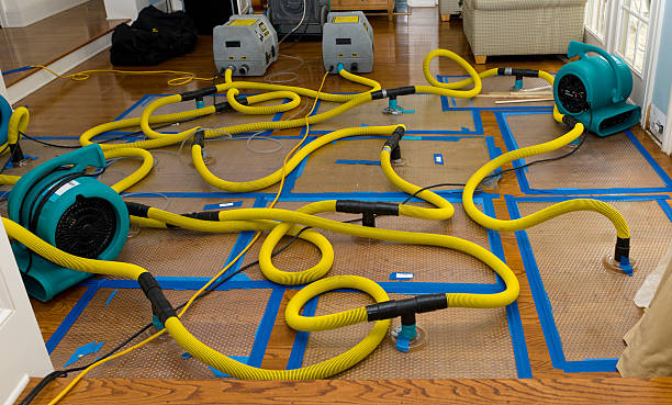 Professional Sewage Cleanup technician working in Dover, MO